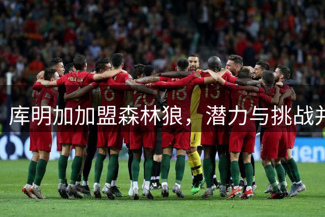 库明加加盟森林狼，潜力与挑战并存